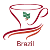 Brazil-BtnCOE