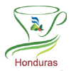 HondurasCOE