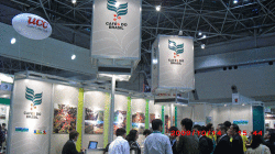 CIMG0146.gif